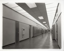 Hallway at Montgomery High, Santa Rosa, California, 1959 (Digital Object)