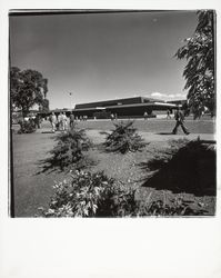 Plover Library, Santa Rosa, California, 1971 (Digital Object)