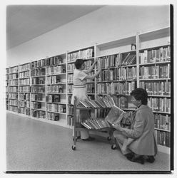Shelving books at the Geyserville Library, Geyserville, California, 1971 (Digital Object)