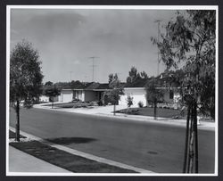 View of homes on Saint Francis Road, Santa Rosa, California, 1968 (Digital Object)