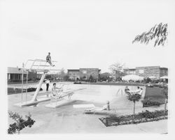Pool area at the Flamingo Hotel, Santa Rosa, California, 1959 (Digital Object)