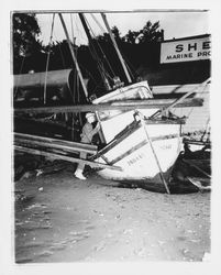 Boats washed ashore by the Shell Marine Products shop by a winter storm, Bodega Bay, California, January 1959 (Digital Object)