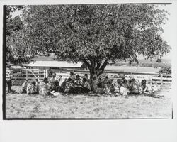 G.K. Hardt employee picnic, Santa Rosa, California, 1958 (Digital Object)