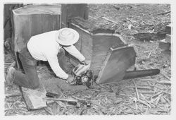 Bimbo&#39;s Splitting Mill, Santa Rosa, California, 1960 (Digital Object)