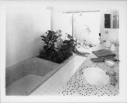 Bathroom of an oriental style home, Sonoma County, California, 1960 (Digital Object)