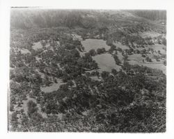 Aerial view of Mark West Springs area, Santa Rosa, California, March 3, 1958 (Digital Object)