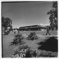 Plover Library, Santa Rosa, California, 1971 (Digital Object)