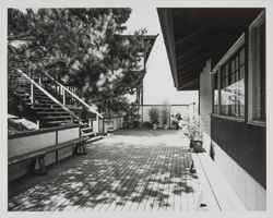 Deck and hillside of an unidentified house, Santa Rosa, California, 1961 (Digital Object)