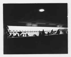 Bowling lanes at the Holiday Bowl, Santa Rosa, California, 1959 (Digital Object)