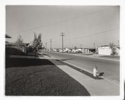 Pacific Avenue, Santa Rosa, California, 1958 (Digital Object)