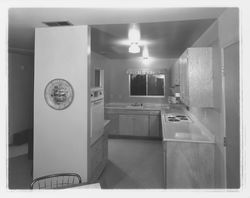Kitchens of model homes on Allison Drive, Rohnert Park, California, 1958 (Digital Object)
