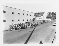 Utility Tree Service trucks and personnel on Second Street, Santa Rosa, California, 1959 (Digital Object)