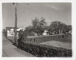 Street scene in the Junior College area, Santa Rosa, California, 1958 (Digital Object)