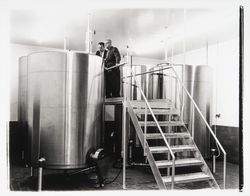 Inspecting vats in the Pepsi-Cola bottling plant, Santa Rosa, California, 1960 (Digital Object)