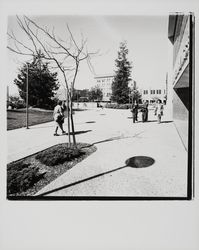 East side of Courthouse Square, Santa Rosa, California, 1977 (Digital Object)
