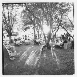 Barbecue at Annadel State Park, Santa Rosa, California, 1971 (Digital Object)