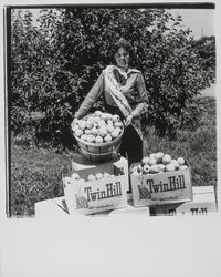 Apple Blossom Queen Julie Pimental posing with apple products, Sebastopol, California, 1977 (Digital Object)