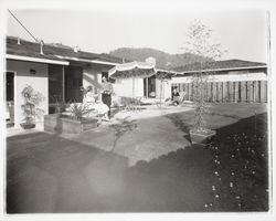 Backyards of Saint Francis Acres model homes, Santa Rosa, California, 1958 (Digital Object)