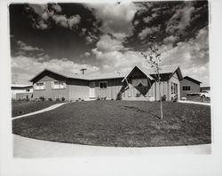 Model homes on Allison Drive, Rohnert Park, California, 1958 (Digital Object)