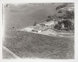 Aerial view of Ursuline Convent, Santa Rosa, California, 1958 (Digital Object)