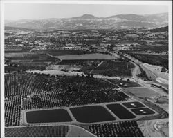 Sewage treatment ponds near Healdsburg, California, 1976 (Digital Object)