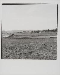 Wickes Lumber, Petaluma, California, 1977 (Digital Object)