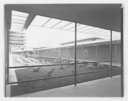Landscaped area between classroom wings at Montgomery High School, Santa Rosa, California, 1959 (Digital Object)