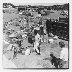 Glass sorting barrels and workers at the Recycling Center, Santa Rosa, California, 1971 (Digital Object)