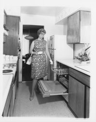 Kitchen of a Young America model home at Oak Lake Green subdivision, Petaluma, California, 1964 (Digital Object)