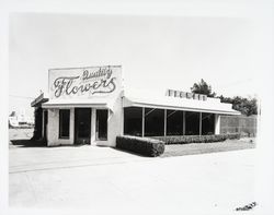 Quality Florists exterior, Santa Rosa, California, 1960 (Digital Object)