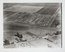 Aerial view of Rohnert Park, Rohnert Park, California, 1958 (Digital Object)