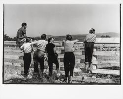 G.K. Hardt employee picnic, Santa Rosa, California, 1958 (Digital Object)