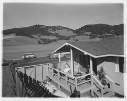 Backyards of Saint Francis Acres model homes, Santa Rosa, California, 1958 (Digital Object)