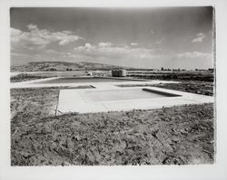 Swimming pool in Alicia Park, Rohnert Park, California, 1958 (Digital Object)