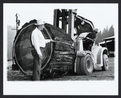 Bimbo&#39;s Splitting Mill, Santa Rosa, California, 1960 (Digital Object)