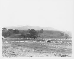 Line of parked cars at a showing of model homes at 5720-5802 Monte Verde Drive in Saint Francis Acres, Santa Rosa, California, 1958 (Digital Object)