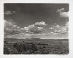 Looking east to Santa Rosa and Mt. St. Helena from Burnside Road on English Hill, Sebastopol, California, 1960 (Digital Object)