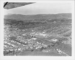 Aerial view of Montgomery Village, Santa Rosa, California, 1960 (Digital Object)