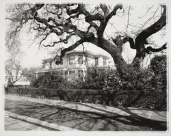 House located at 824 McDonald Ave, Santa Rosa, California, 1958 (Digital Object)