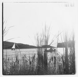 Sailboats on Lake Ilsanjo, Annadel State Park, Santa Rosa, California, 1971 (Digital Object)