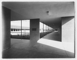 Montgomery High School corridors, Santa Rosa, California, 1959 (Digital Object)