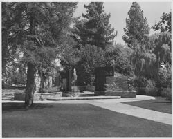 View of the Luther Burbank gardens, Santa Rosa, California, 1967 (Digital Object)