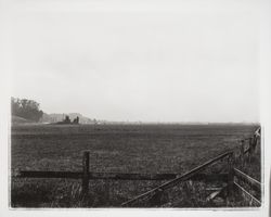 Looking south toward Santa Rosa, California, 1958 (Digital Object)