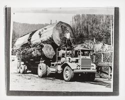 Truck hauling a redwood log, Guerneville?, California, 1964 (Digital Object)