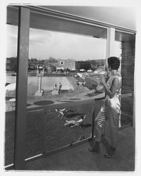 Pool area at the Flamingo Hotel, Santa Rosa, California, 1959 (Digital Object)