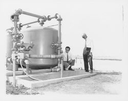 Swimming pool in Alicia Park, Rohnert Park, California, 1958 (Digital Object)