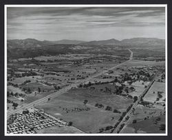 Aerial view near Windsor, California, 1972 (Digital Object)