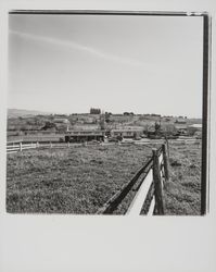 Palace of Fruit, Penngrove, California, 1977 (Digital Object)