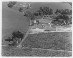 Aerial view of Ursuline High School, Santa Rosa, California, 1958 (Digital Object)