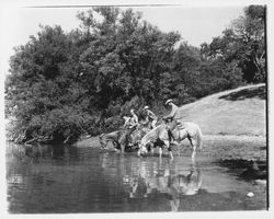 Horses drinking from Annie John Pond at Palomino Lakes, Cloverdale, California, 1961 (Digital Object)